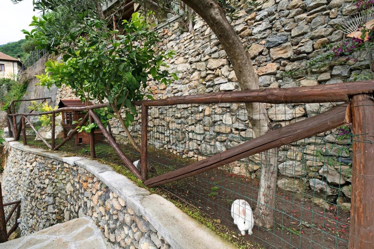 Agriturismo U'Spigu Nonna Annetta Nasino Esterno foto